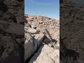 Right above the rocks… 🧈