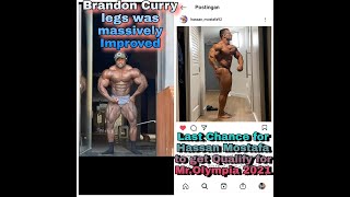 Brandon Curry Legs Was massive Improving + Last Chance for Hassan Mostafa to get Qualify Mr. Olympia