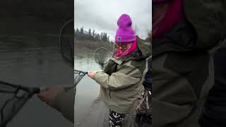 Full length video of a smelt limit on the Cowlitz River.