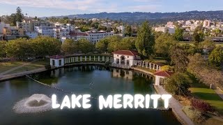 Lake Merritt | Peaceful Drone Views of Oakland’s Jewel