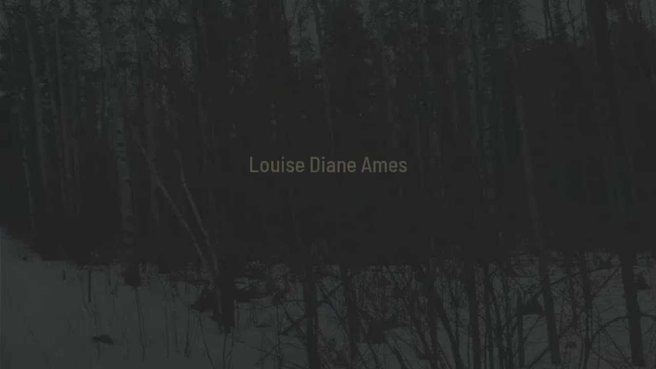 Part 13 Girl Guide Road Cobalt, ON P0C 1C0