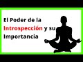 ¿Que es la introspección? ▷ Cómo Hacer INTROSPECCIÓN Personal