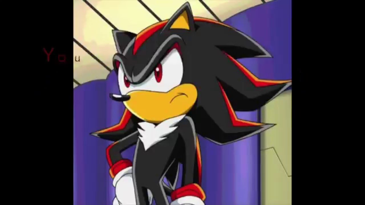 Sonic x hedgehog