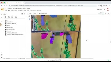 Recording of Using Annolid on Detectron2 to Track Multiple Fish