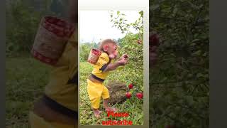 cute monkey cherry eating #virelvideo #shorts