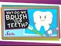 Why do we brush our teeth  health for kids  scishow kids