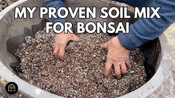 My Proven Soil Mix for Bonsai | Bonsai Heirloom