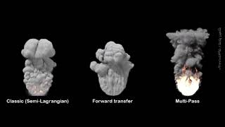 PhoenixFD | Fire Smoke Sim | Dynamics | Transport Advection Method