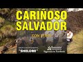 SHELOMI (VOL 01) - Cariñoso salvador(letra) - Audio y Video Beltran Ttito