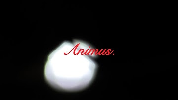 Animus.