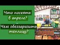 Что посеять в апреле? Чем обеззаразить теплицу?