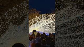 Nagashima Resort なばなの里 光のトンネル 点灯