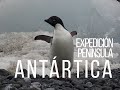 Expedición a la Península Antártica 2016