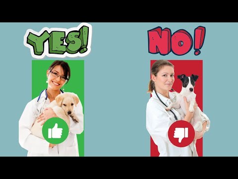 Choosing a Vet for Your Puppy: Tips for Finding the Perfect Match