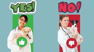 Choosing a Vet for Your Puppy: Tips for Finding the Perfect Match