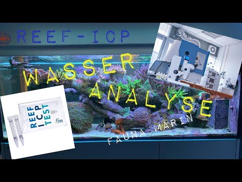 Meerwasseraquarium Reef ICP Test Wasseranalyse und die Anmeldung im Fauna Marin Labor (Teil 1)