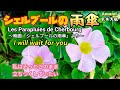 シェルブールの雨傘·I will wait for you·日本語歌詞付·585曲目·オカリナハイビスOcarina Hibi’s