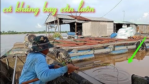 Ổ cá chép khổng lồ, run tay, đứng tim luôn - Test cần câu cá huỳnh khoa T145