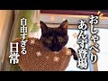 おしゃべりあんず登場！10カ月の末っ子が紹介する自由すぎる日常 Chatty Anzu