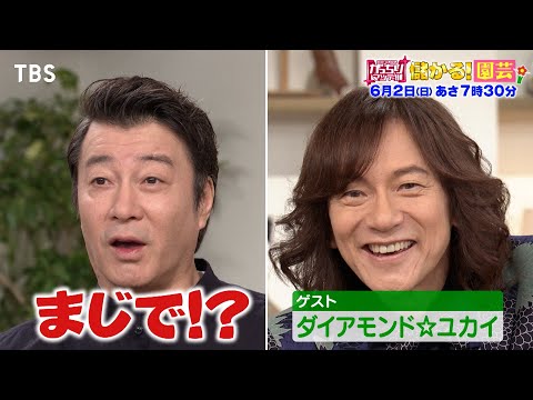 『がっちりマンデー!!』6/2(日) 雑草を根ごと抜くマシンがバカ売れ！｢儲かる！園芸｣【TBS】
