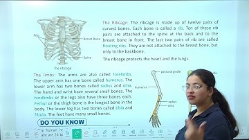 The Skeletal and Muscular System | Science Class 5 Chapter 3