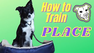 How to Train the Place Command | Obedience Series by FreeLance Dog Training 220 views 2 years ago 18 minutes