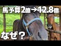 🔴第06話「引退競走馬はどこへ消える?引退馬に用意された国の12.8億円の行方と肥育場の現実(2025.03.28)#引退競走馬 #引退馬 #Retouch #リタッチ #肥育場 #国の予算 #国会