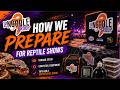 How We Prepare for Reptile Shows | The Noodle Group Vendor Setup &amp; Essential Equipment