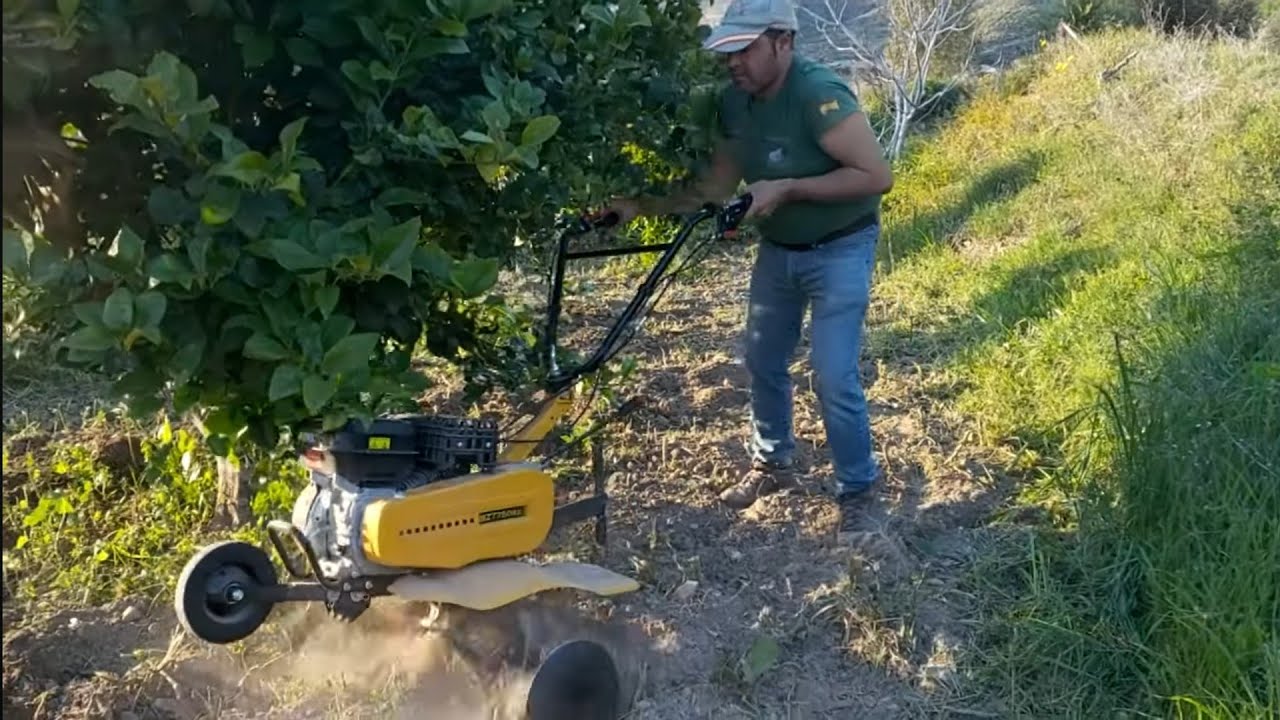 L.M      labramos los Limoneros de secano 🍋🇪🇸🌳😉