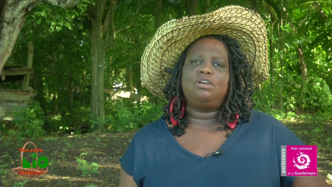 Fruits et légumes d'antan N°6 Le 50 Hommes, présenté par le Png et Mon panier BIO