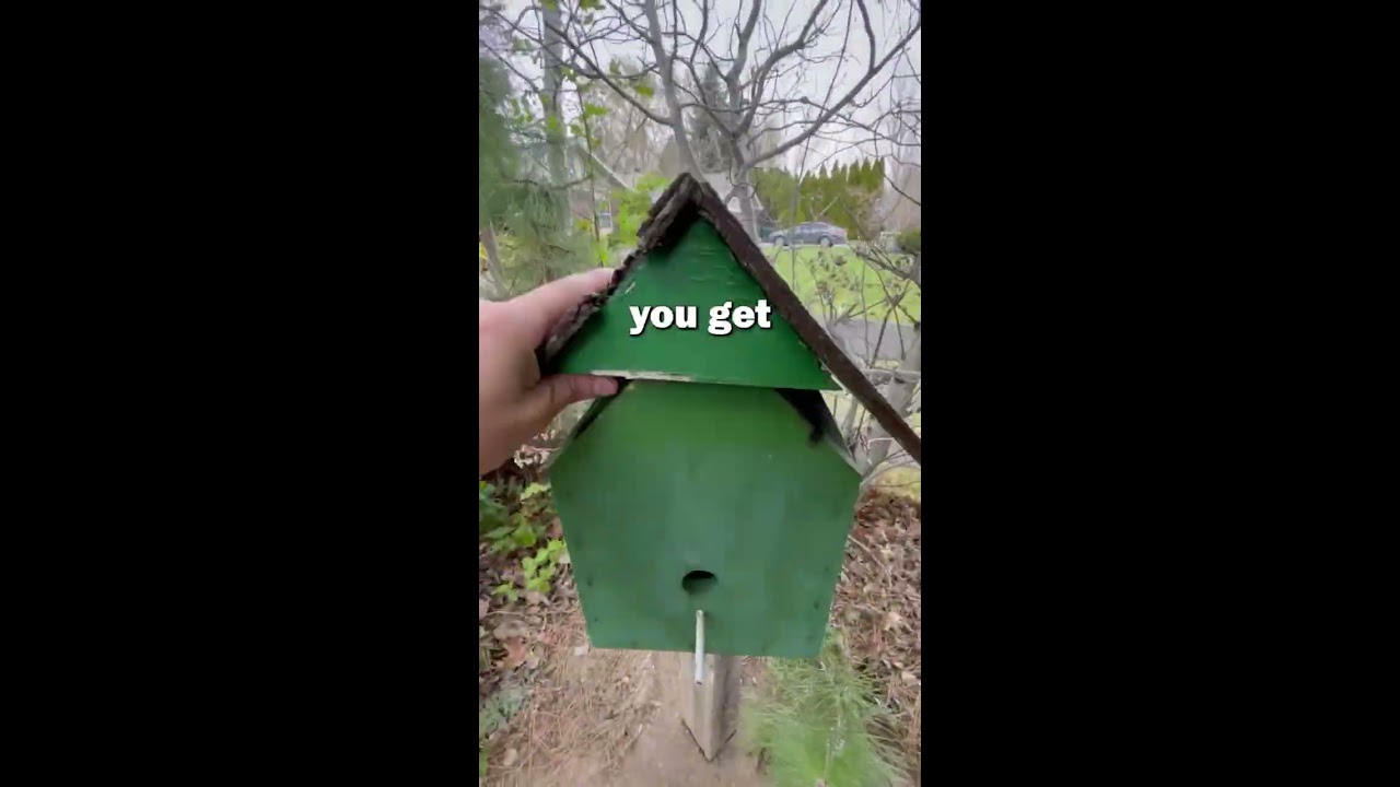 What Is The Point Of Geocaching For YOU 