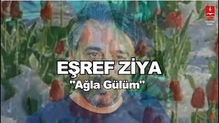 EŞREF ZİYA  \