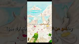 حالات واتساب زواج الامام علي ع من فاطمة الزهراء  ع استوريات انستقرام اقوئ صفكات