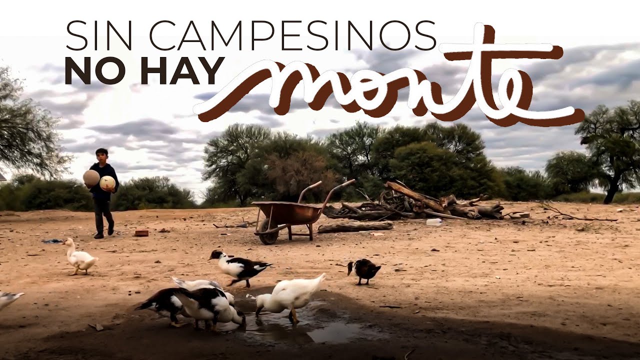 SIN CAMPESINOS NO HAY MONTE | Pequeños productores, vacas y sueños