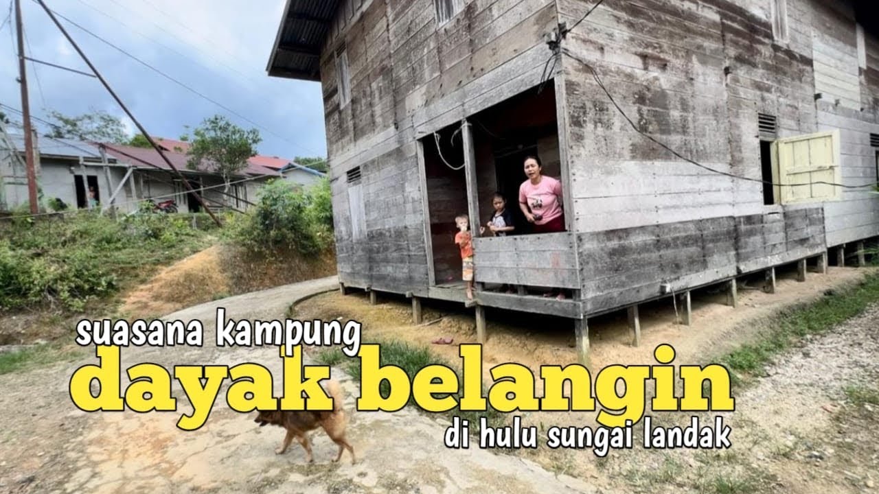 Melihat dari dekat kehidupan warga dayak pedalaman di hulu sungai landak