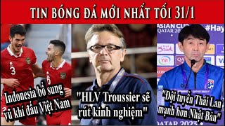 Tin Thể Thao - Bóng Đá - 30/1: HLV Troussier rút kinh nghiệm, Indonesia bổ sung vũ khí đấu Việt Nam