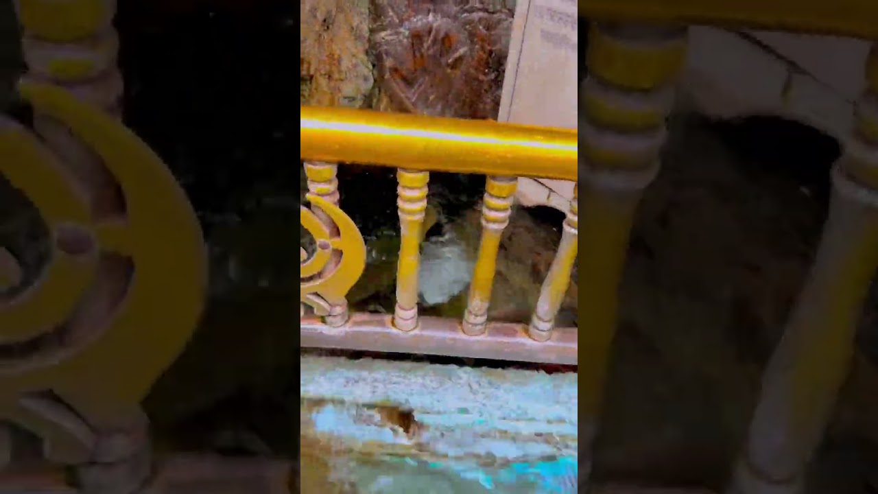 Dhan Baba Nanak | Gurdwara Panja Sahib | 