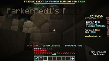 Strange Rock Pet Bug (Hypixel Skyblock)