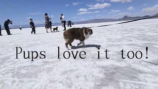 Bonneville Salt Flats: Utah 