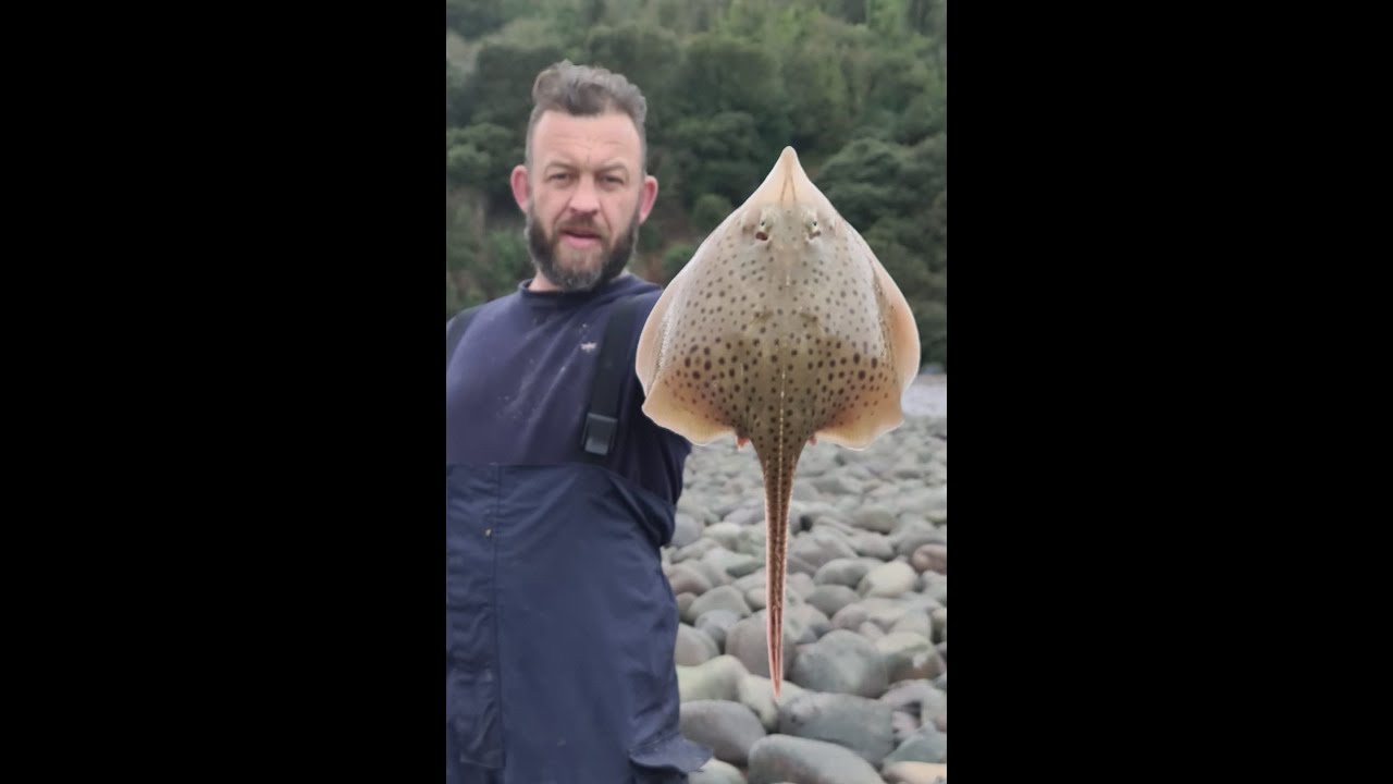 UFC MARK GODBEER GOES FISHING / BELLATOR / VALOR