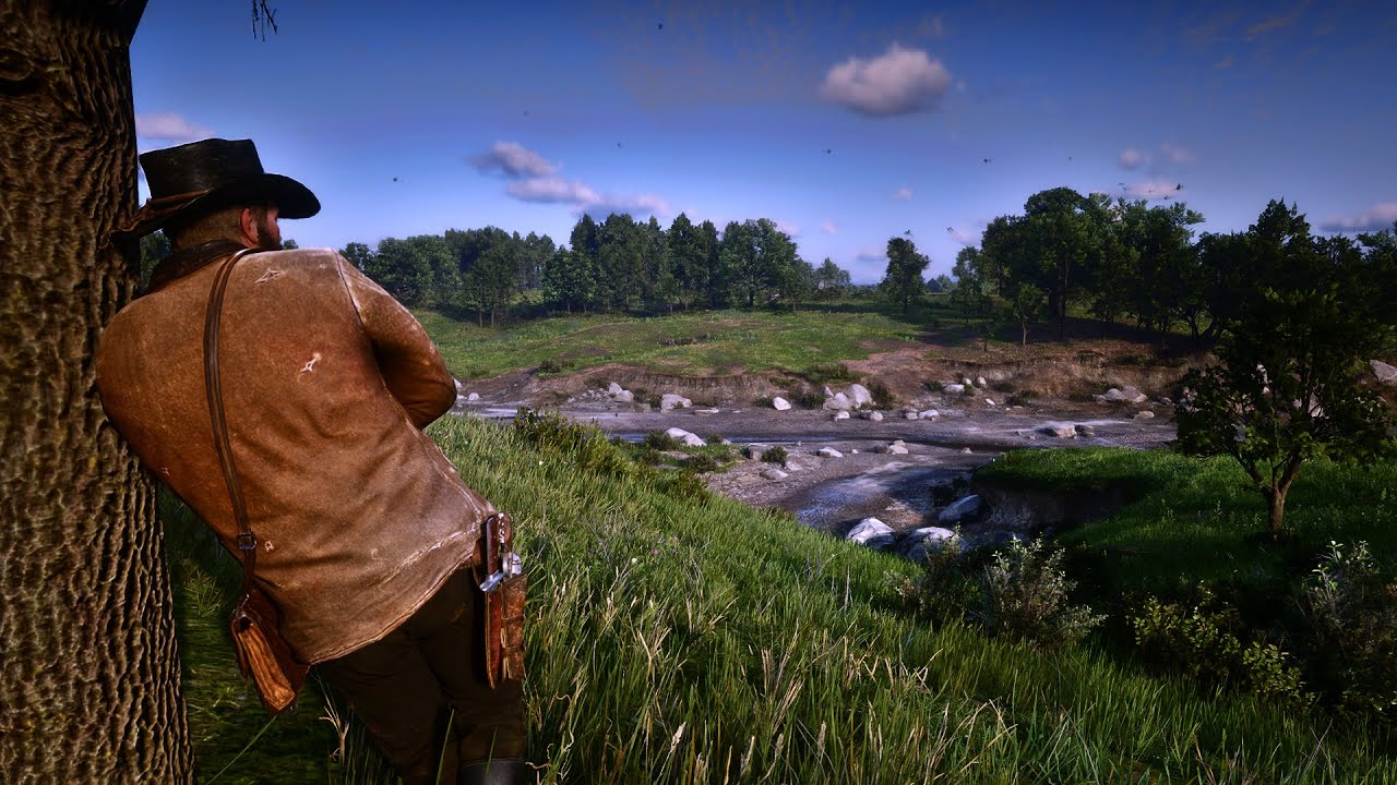 Red Dead Redemption 2 Realistic Graphics Preset - YouTube