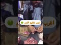 اغرب اكل طريقه تقطيع اللحم بالاظافر الغداء طبخ بغداد طعام  مأكولات 