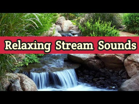 Water Stream Sound For Relaxation Peaceful Forest River Stream With Nature S Sound Kerala