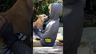 Jason Finds Stray Dog On Island! 🥺
#shorts #jasontheween Jason Finds Stray Dog On Island! 🥺