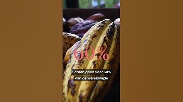 Duurzamere chocola door meer schaduw?