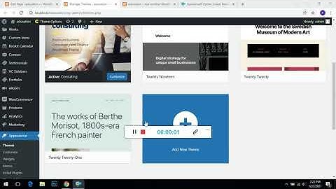 Default Theme In Wordpress Editing Deleting Twenty twenty,nineteen,eighteen.