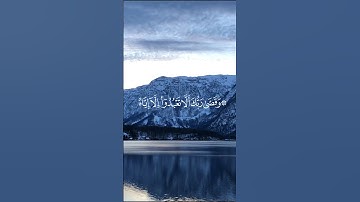 سورة الإسراء الآية 23 | بر الوالدين | تلاوة خاشعة بصوت الشيخ بيشه وا الكردي