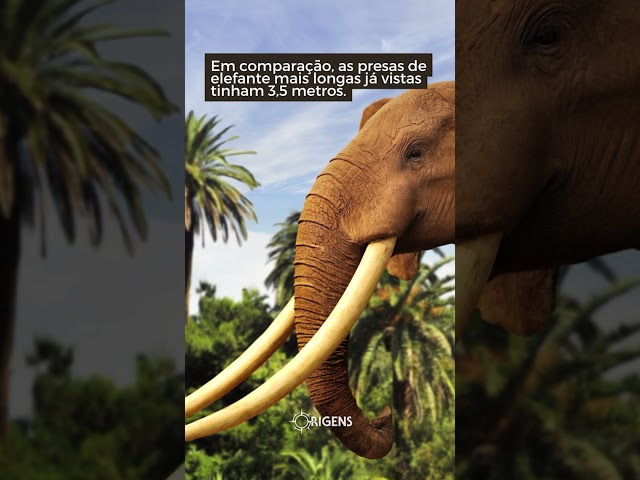 Você já sabia tudo isso sobre os mamutes?