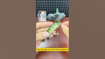 Mồi câu lure cá chạch nhiều khớp #cauca #fishing #shots