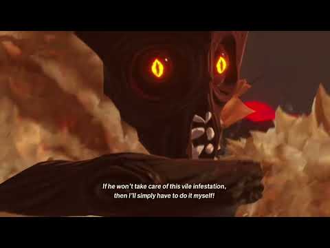 CREEPY. Age of Imprisonment (Hyrule Warriors) part 46